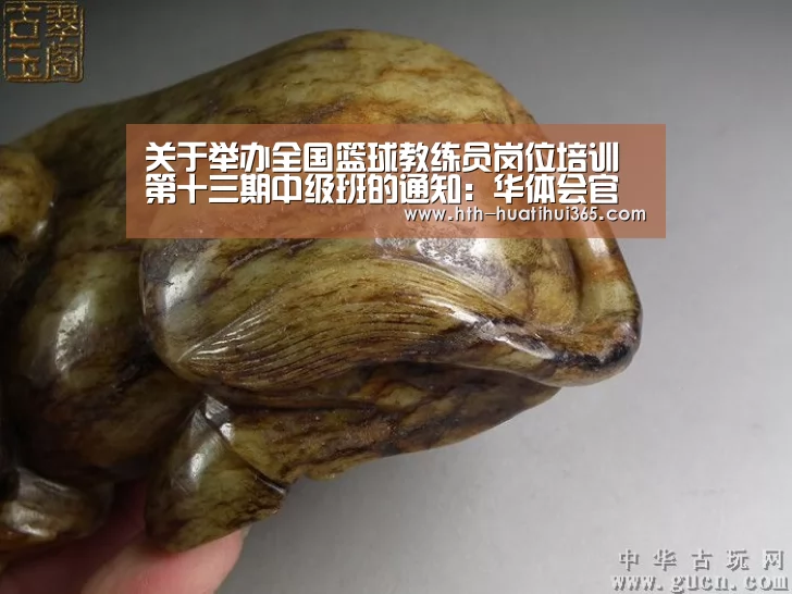 华体会官网