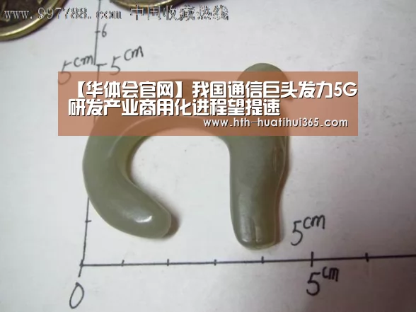 华体会官网